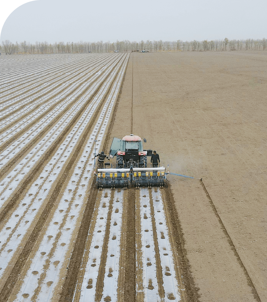 gritech aardapel poten home 1